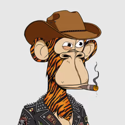 5206