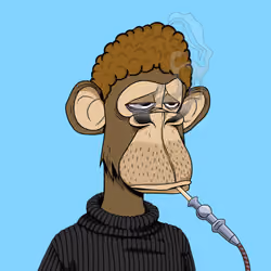 4216