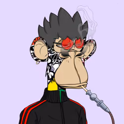 8020