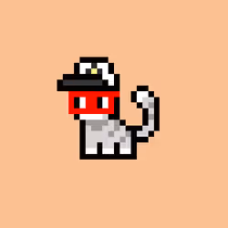 41