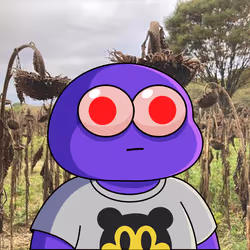 1578