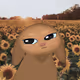 818