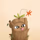 Lil Wood #2058
