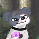 557