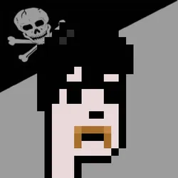 Punk pirate gang #1070