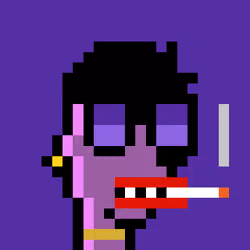 Monad Punks #346