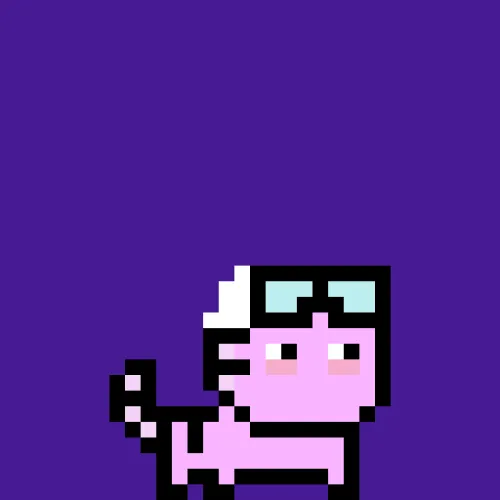 moncat #146
