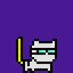 moncat #498
