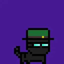 moncat #153