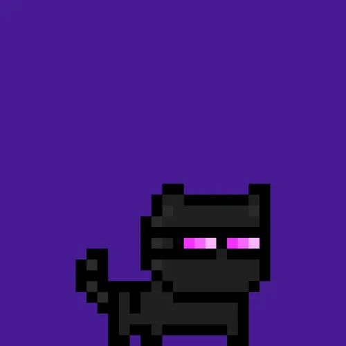 moncat #371