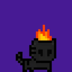 moncat #2025