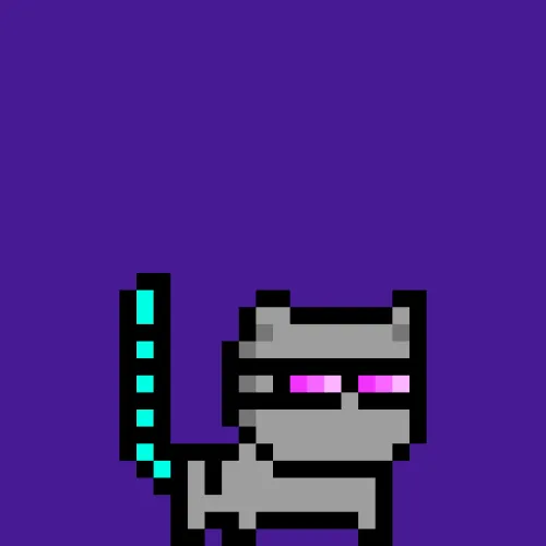 moncat #342