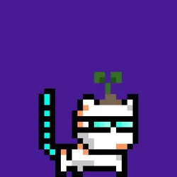moncat #1854