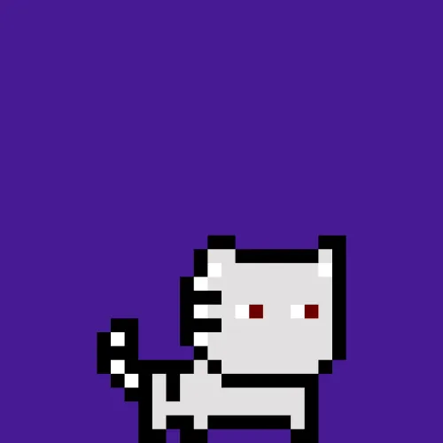 moncat #5
