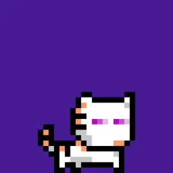 moncat #49