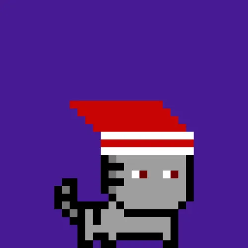 moncat #294