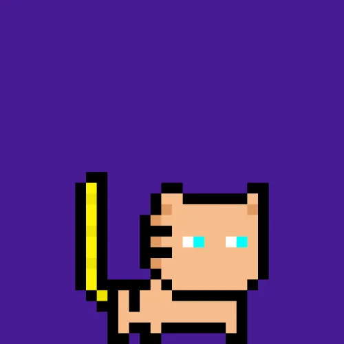 moncat #241