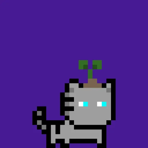 moncat #511