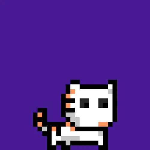 moncat #197