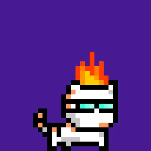 moncat #246