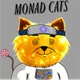 Monad Cats