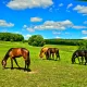 Wandern İn Baden Wüttemberg