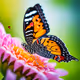 A butterfly resting on a flower