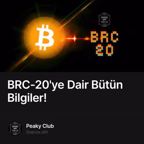 BRC-20'ye Dair Bütün Bilgiler!
