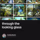 through the looking glass - K1IRegputy