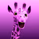 Purple Giraffe