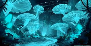Non Fungible Fungi