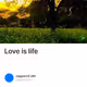 Love is life
