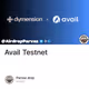 Avail Testnet