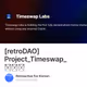 [retroDAO] Project_Timeswap_한국어
