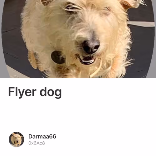 Flyer dog