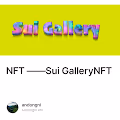  NFT Sui GalleryNFT
