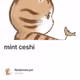 mint ceshi