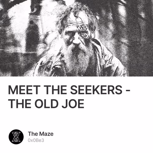 MEET THE SEEKERS - THE OLD JOE