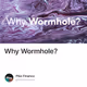Why Wormhole?