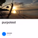 purpotest
