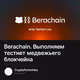 Berachain. Выполняем тестнет медвежьего блокчейна