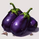 Eggplant Evolution