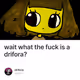 wait what the fuck is a drifora?