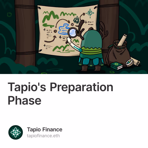 Tapio's Preparation Phase
