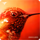 Kinode // Genesis Birds