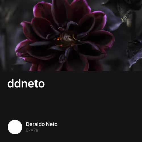 ddneto