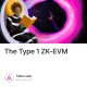 The Type 1 ZK-EVM