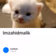 Imzahidmalik