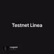 Testnet Linea