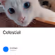 Celestial - LCXVUS6LUu